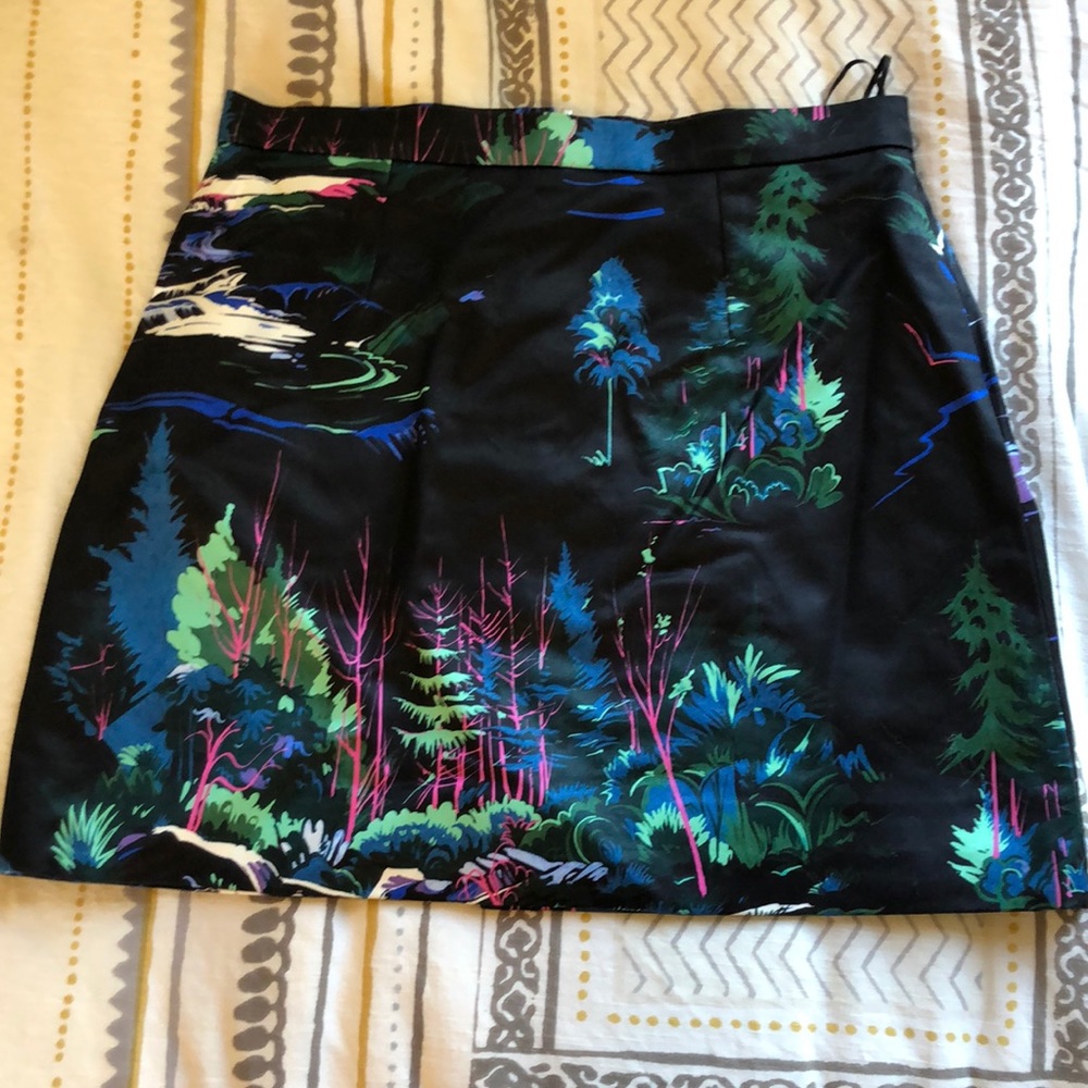 Balenciaga Paris skirt